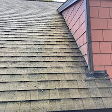 Roof-Moss-Removal-in-Pullman 0